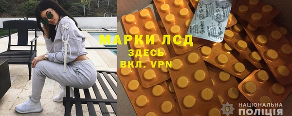 крисы Липки
