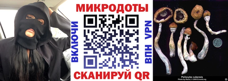 хочу наркоту блэк спрут сайт Псилоцибиновые грибы Cubensis Макаров